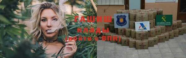спиды Богородицк