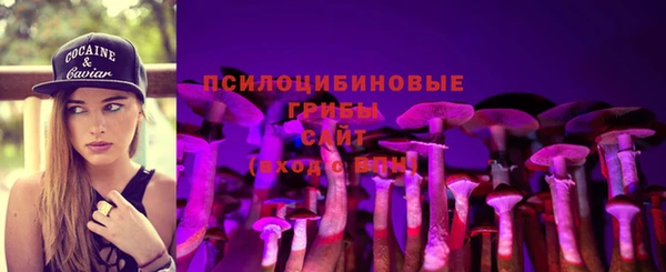 трава Белокуриха