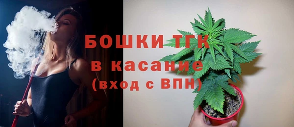 трава Белокуриха