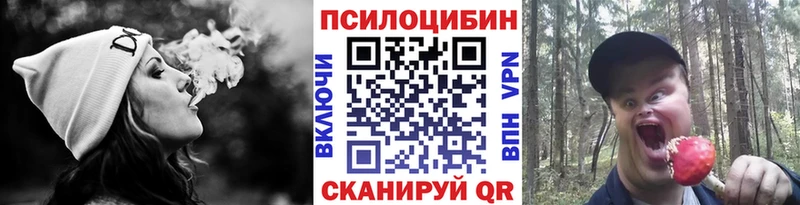 Псилоцибиновые грибы Cubensis площадка клад Ворсма